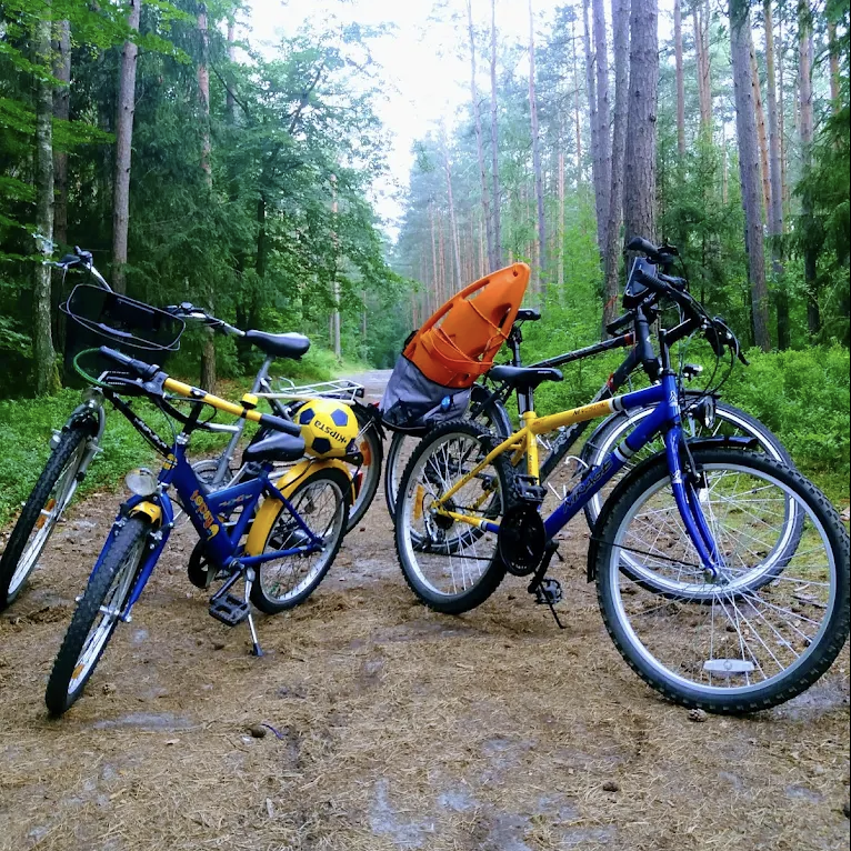 Wypożyczalnia Rowerów w Stegnie - BIKEowa Mierzeja