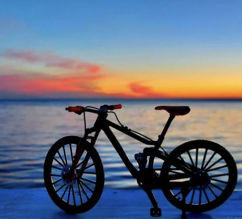 Wypożyczalnia Rowerów Stegna, Rowery elektryczne, przyczepki, foteliki rowerowe